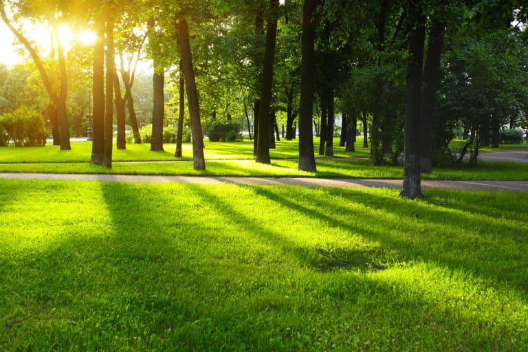 Les parcs pour faire une promenade à Rennes