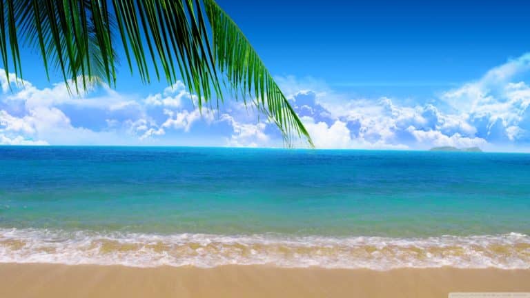 Où passer des vacances à la mer cet été ?
