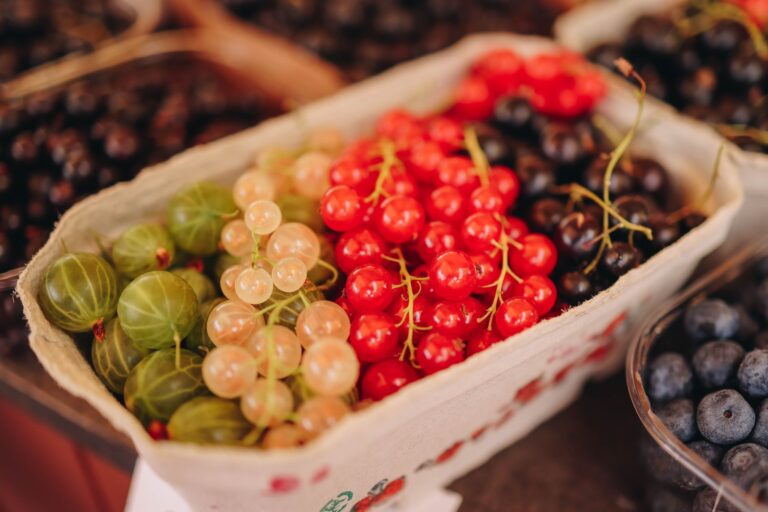 Où trouver les marchés bio à Rennes ?