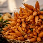 Les marchés bio à Rennes : où et quand les trouver ?