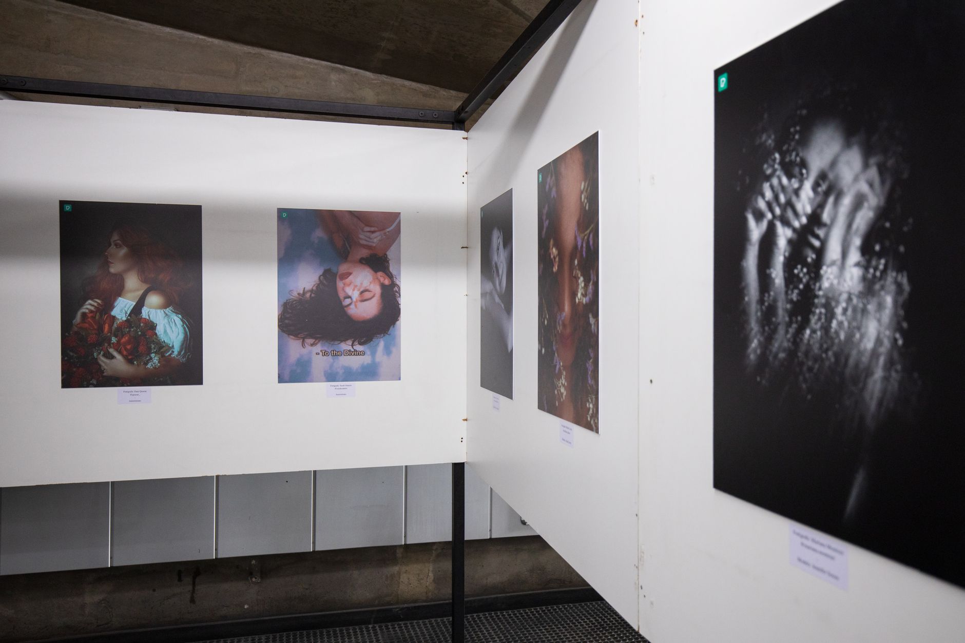 Quelles sont les expositions surprenantes à découvrir à Rennes ?