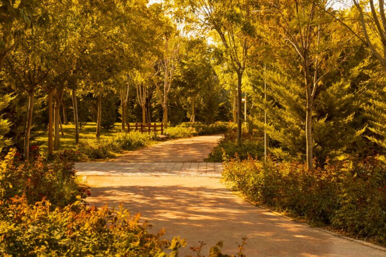 Quels sont les parcs naturels à explorer près de Rennes ?
