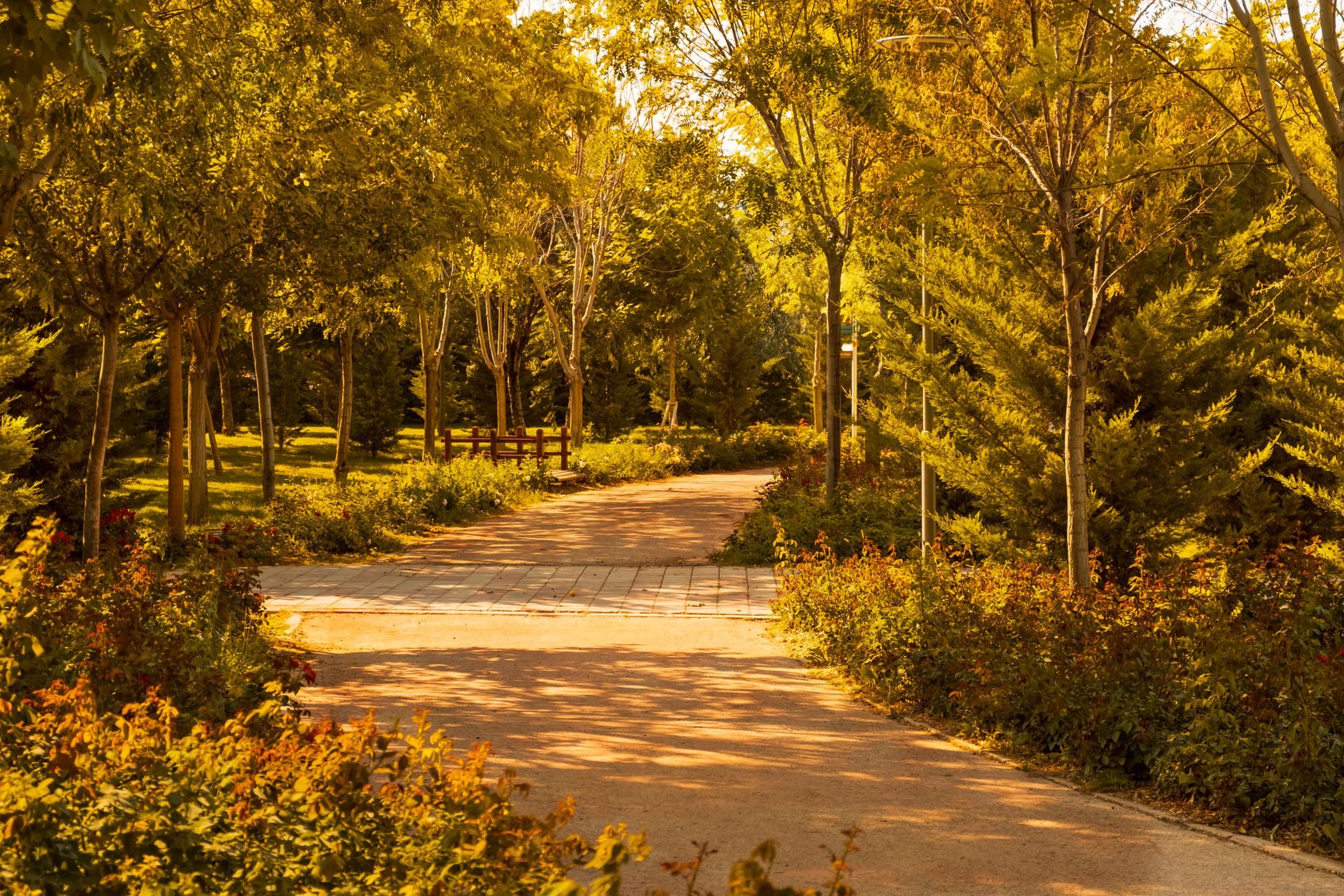Quels sont les parcs naturels à explorer près de Rennes ?